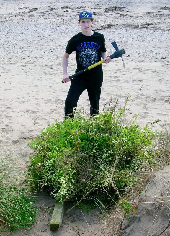 Photograph accompanying Walking in England travel guide