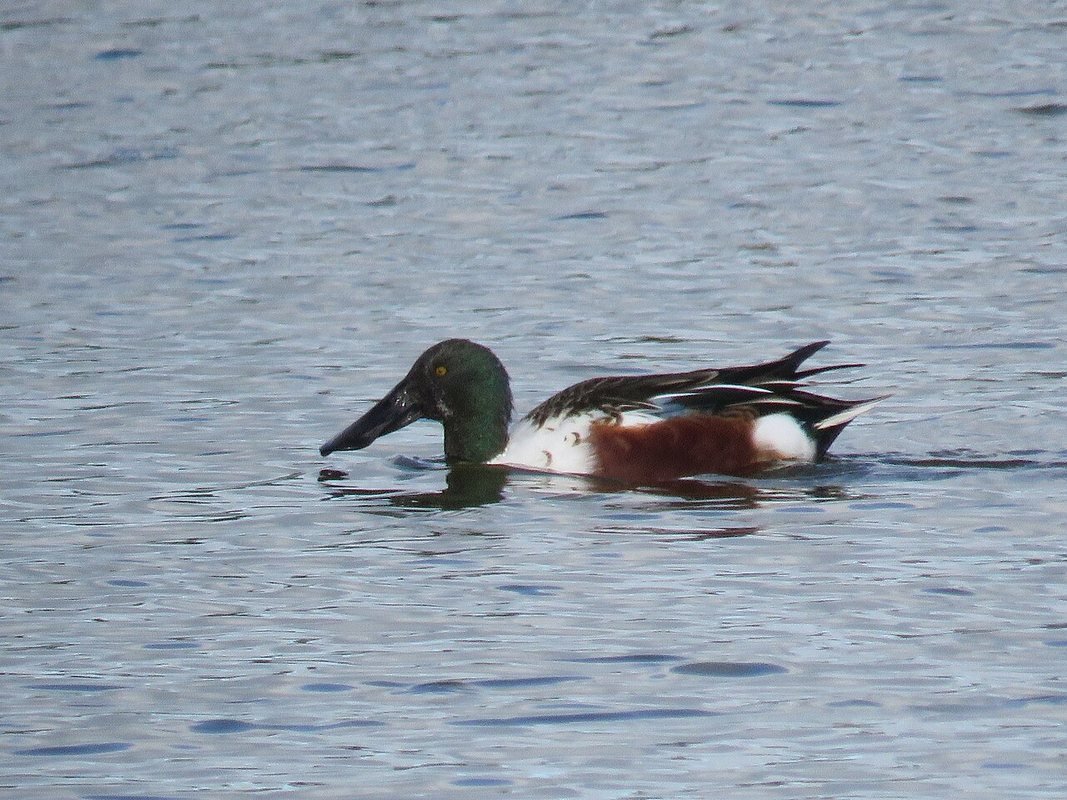 Photograph accompanying UK national parks
